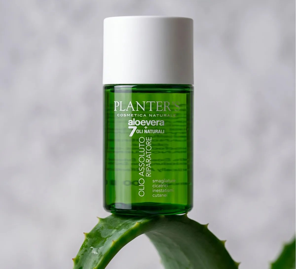 Planter’s